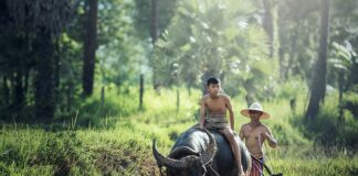 Czy opłaca się zostać rolnikiem?