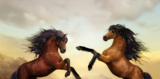 Ile pali 300 konny silnik zaburtowy?