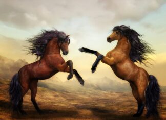 Ile pali 300 konny silnik zaburtowy? Ile pali 300 konny silnik zaburtowy?