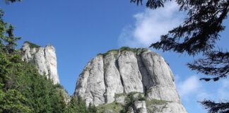 Co lepsze kosztorys czy warsztat?