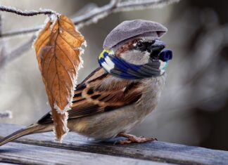 Jak tanio ogrzać przyczepę kempingową?