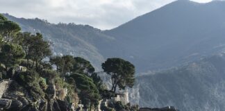 Ile kosztuje nabicie i odgrzybienie klimatyzacji w samochodzie?