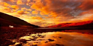 Jaki jest majątek Kulczyka?