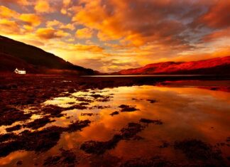 Jaki jest majątek Kulczyka?