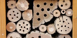 Ile kosztuje zimowanie jachtu na Mazurach?