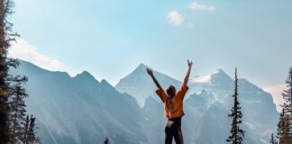 Jaki program do schematów samochodowych?