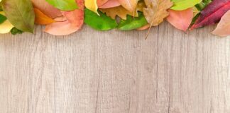 Ile woda od granicy działki?