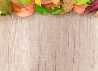 Ile woda od granicy działki? Ile woda od granicy działki?