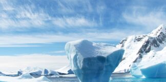 Co bywa lodowe milionerzy?