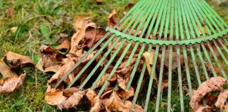 Jaka jest prowizja od sprzedaży na OLX?