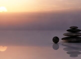 Czy Neo to dobra firma?