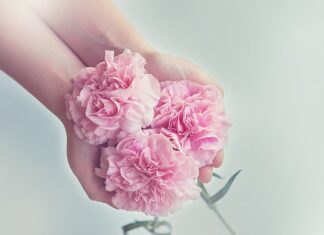 Jakie maszyny do gospodarstwa?