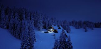 Jaki jest cel instrukcji?