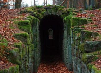 Z czego składa się instrukcja?