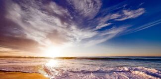 Jak działa linia produkcyjna?