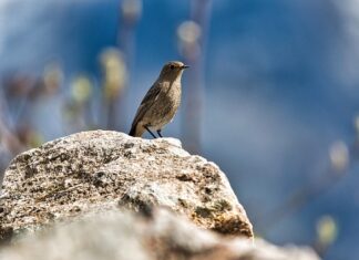 Czego nie lubi pleśń? Czego nie lubi pleśń?