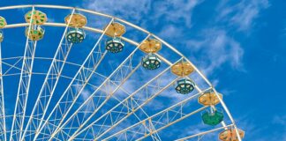 Jaki program do napraw samochodów?