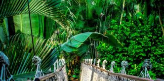 Ile trwa kurs żeglarski?