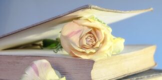 Ile kosztuje Używany Opel Insignia?