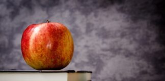 Jakie są klasy aut?