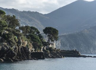 Ile kosztuje trzymanie łodzi w marinie? Ile kosztuje trzymanie łodzi w marinie?