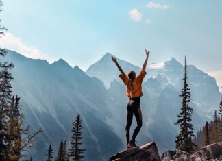 Jaki program z danymi serwisowymi samochodów?