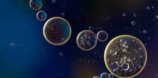 Ile kosztuje wymiana oleju w Opel Insignia?