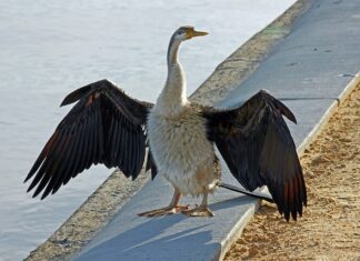 Co lepsze Pert czy PEX?