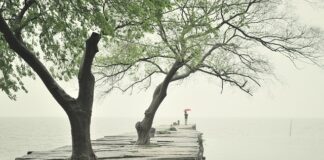 Ile waży krawężnik 6x20x100?