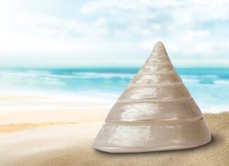 Jakiej firmy obudowa komputerowa? Jakiej firmy obudowa komputerowa?