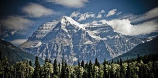 Jak zamontować klipsy do zlewozmywaka?