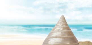 Jaka Wyciszona obudowa?