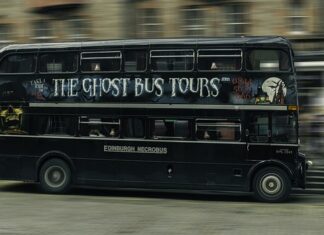 Jakie obrzeża do trawników?