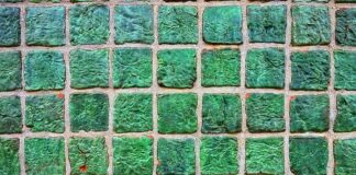 Co zamiast płytek w toalecie?