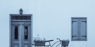 Kiedy przycinać żywopłot z bukszpanu?