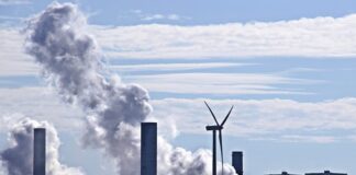 Jak zrobić krawędzie trawnika?