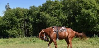 Jak zamontować szklany obraz na ścianie?