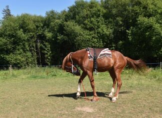 Jak zamontować szklany obraz na ścianie?