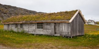 Jak pozbyć się darni?