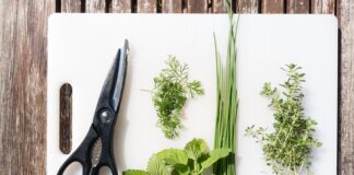 Jak naostrzyć sekator elektryczny?