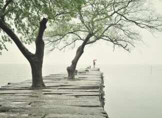 Ile waży krawężnik 8 cm? Ile waży krawężnik 8 cm?