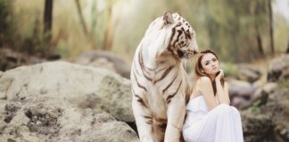 Jakie są sposoby ochrony przed hałasem?