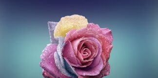 Czym się różni but S1 od S3?