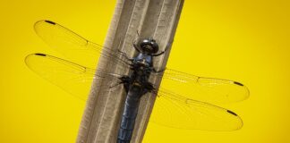 Czy można użyć noża w samoobronie?