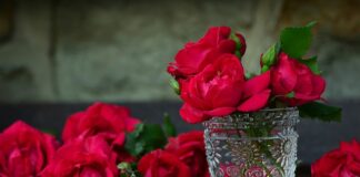 Do jakiego pojemnika wyrzucać rękawiczki gumowe?