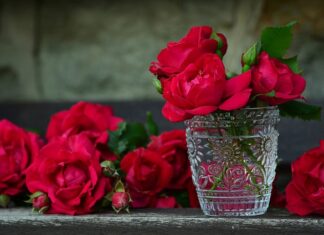 Do jakiego pojemnika wyrzucać rękawiczki gumowe?